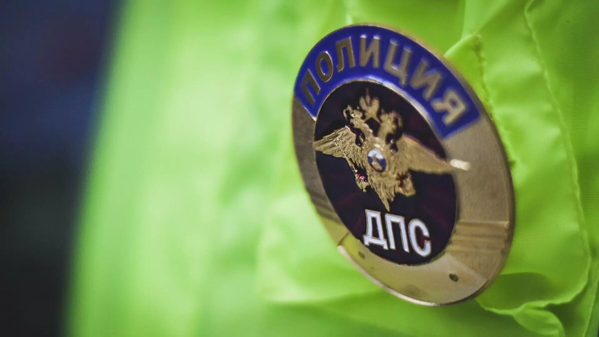     Источник: novostivolgograda.ru