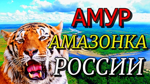 АМУР АМАЗОНКА РОССИИ!!! Могучая река Дальнего Востока!!