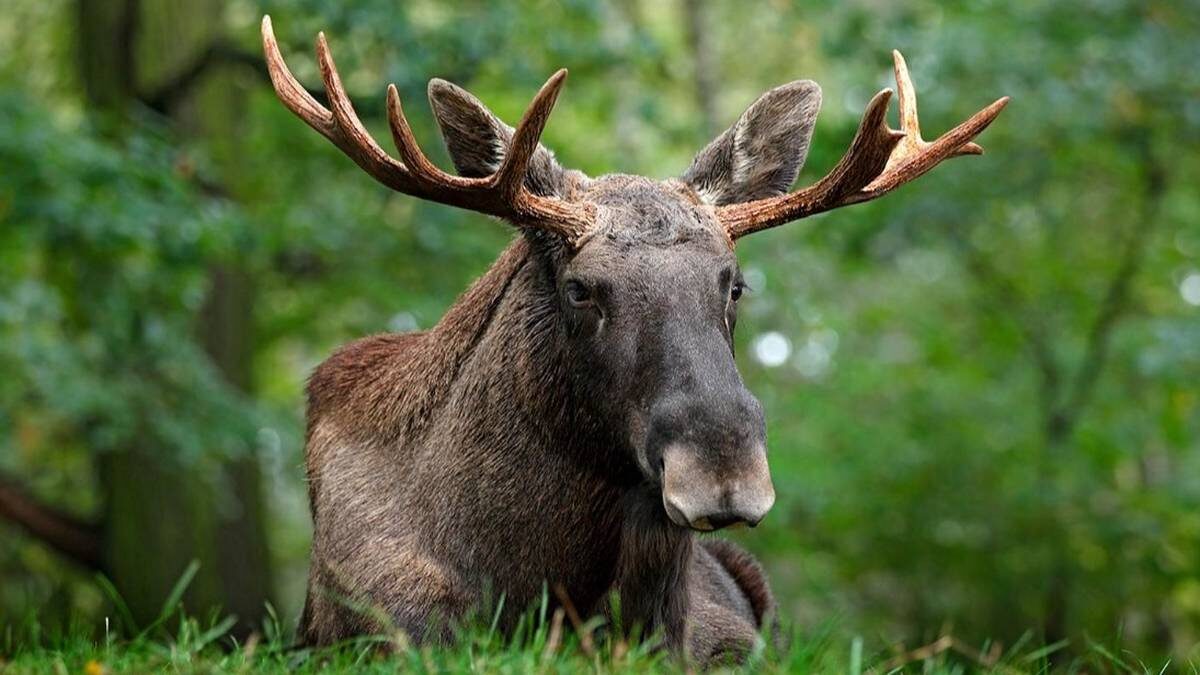    Фото: официальный сайт мэра Москвы