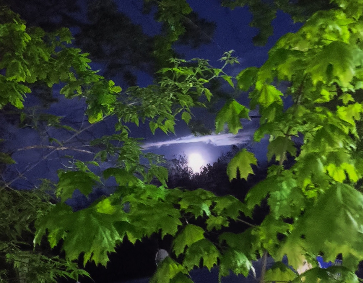 Всё фотографии в статье авторские. Красивая луна на летнем ночном небе. Ульяновск. 