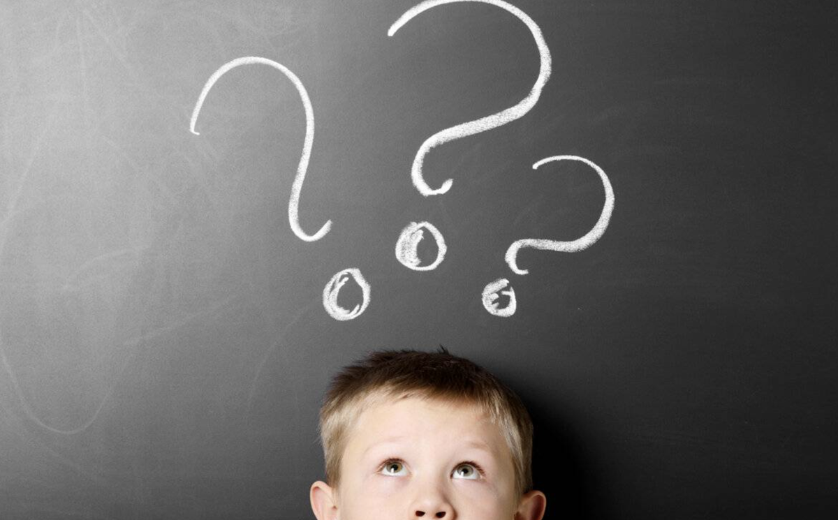 The video is taken from open sources: Yandex Pictures 