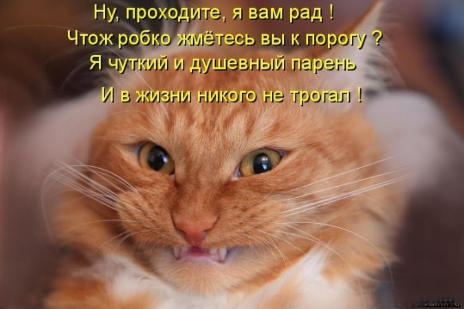 Источник: kotomatritsa