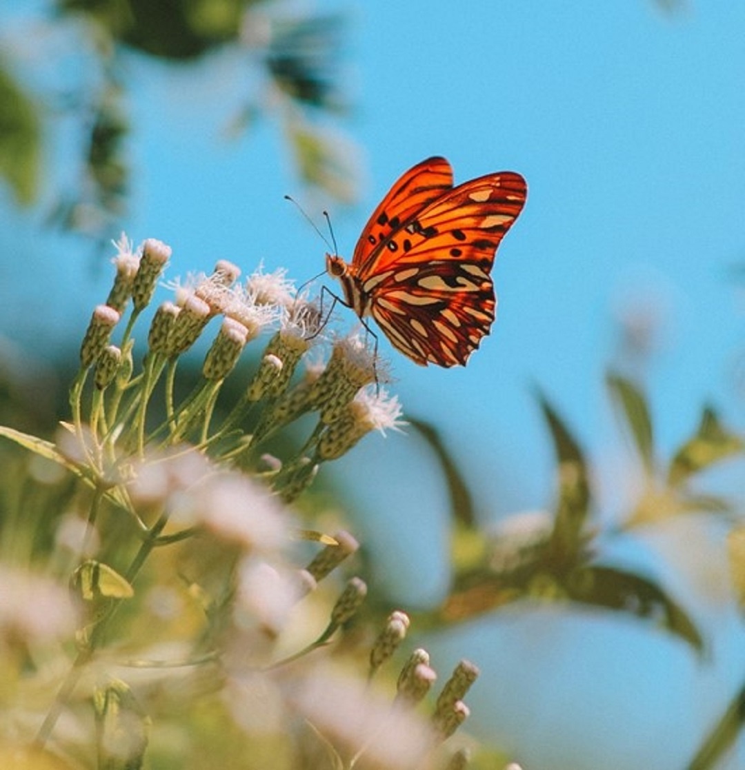 Источник: https://unsplash.com/