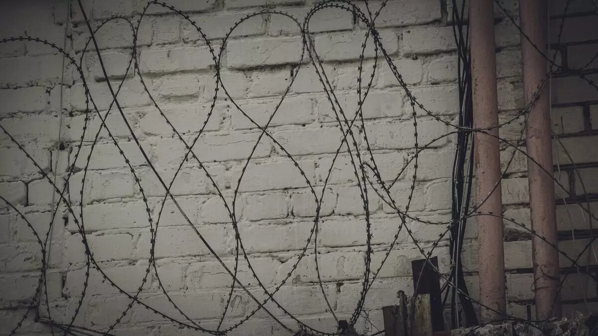     Источник: 1MI