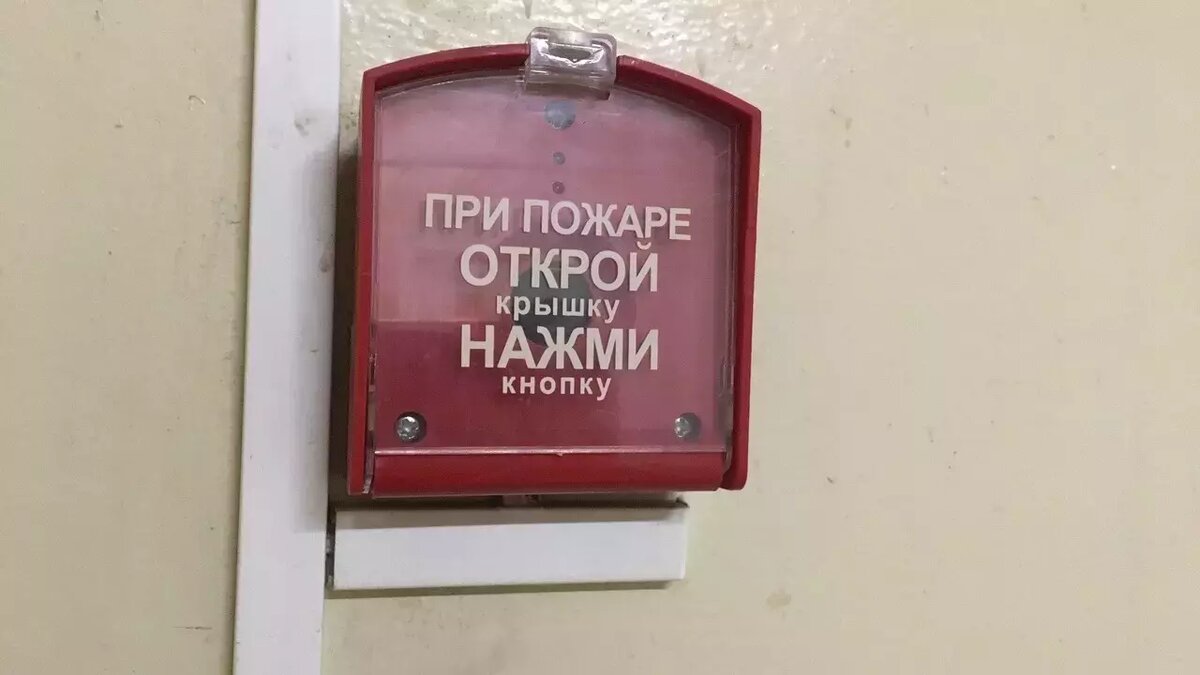     Источник: 1MI
