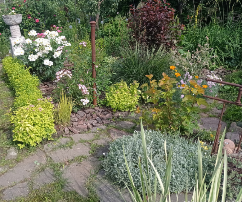 частичка розария