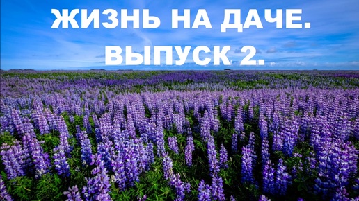 ЖИЗНЬ НА ДАЧЕ. ВЫПУСК 2.