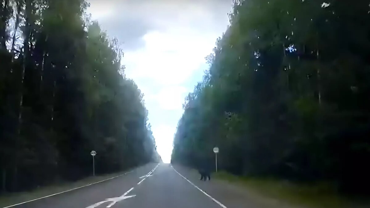     Источник: Скриншот видеозаписи