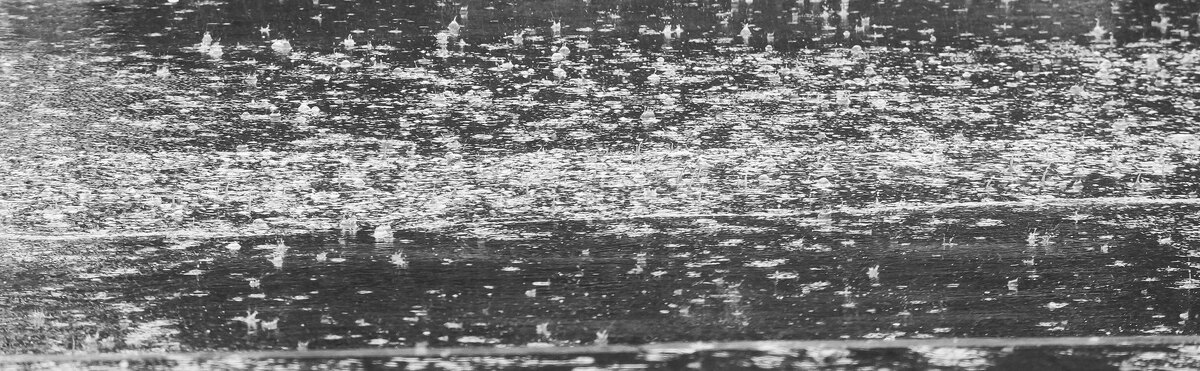    Фото: Сергей Егоров