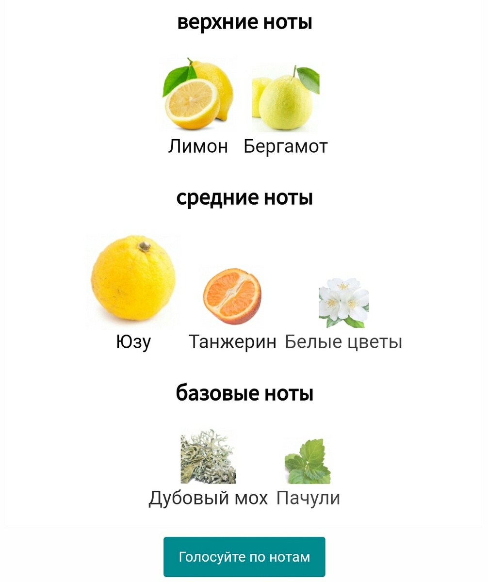 Пирамида аромата с Фрагрантики