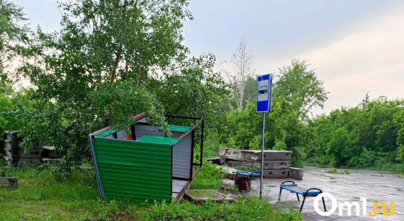 Из-за непогоды в деревне Русановке, в Нововаршавском районе Омской области, упала остановка и дерево. Об этом порталу Om1.ru сообщил читатель.
