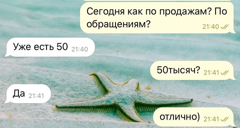 Скрин из переписки с клиентом из рабочего чата.