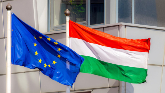    Венгрия предложила выступить посредником между Россией и ЕС по Украине Алина Городниченко