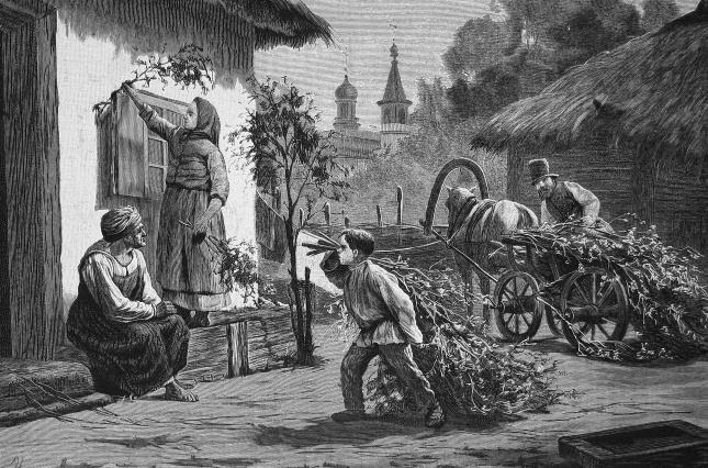 Ижакевич И. Шюблер Ю. 1888 Накануне Троицы