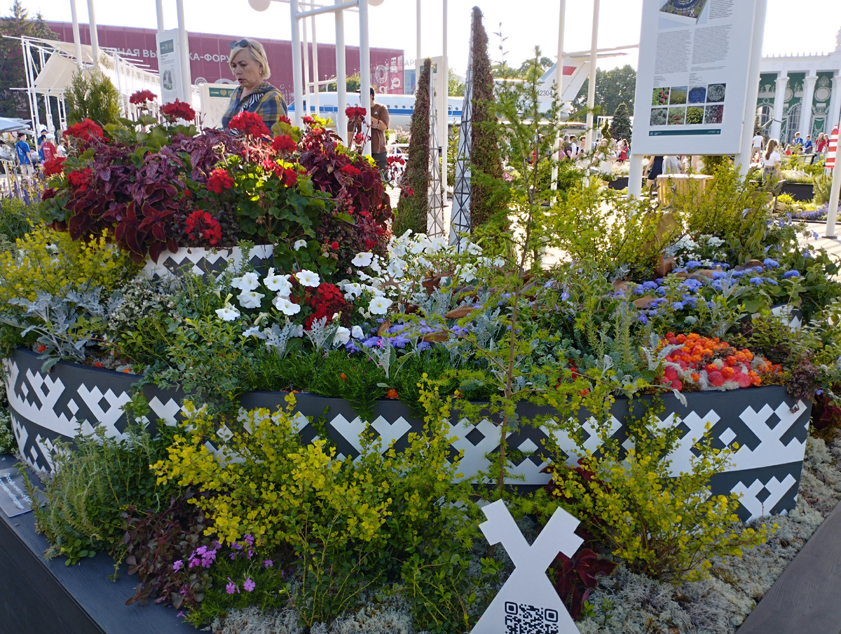 Ненецкий автономный округ (ФОТО АВТОРА)