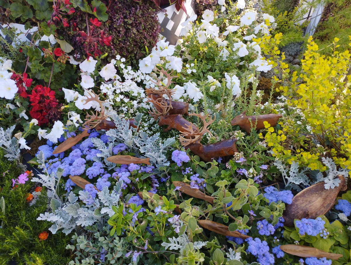 Ненецкий автономный округ (ФОТО АВТОРА)