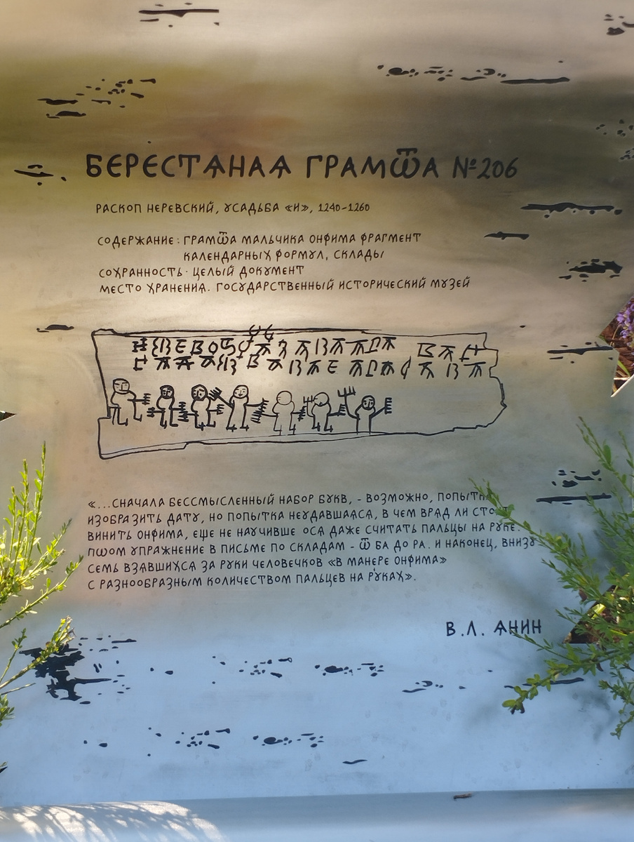 Новгородская область (ФОТО АВТОРА)