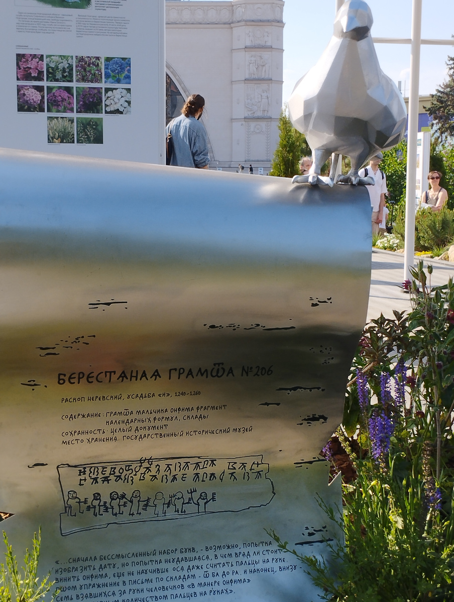 Новгородская область (ФОТО АВТОРА)