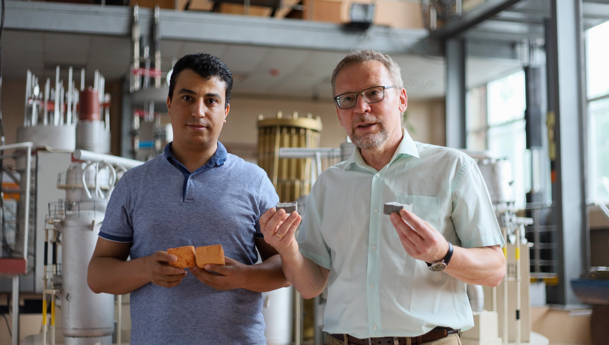    Изображение Анастасия Фарафонтова. 