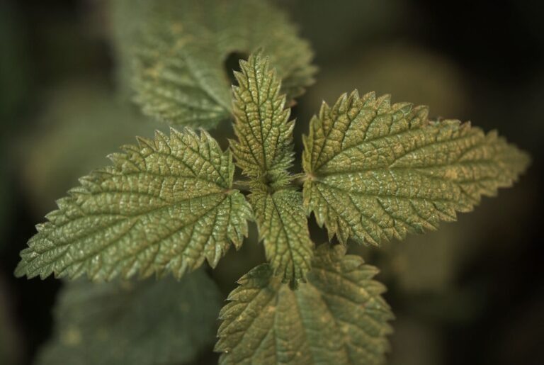    фото: freepik.com/wirestock Мария Михайловская