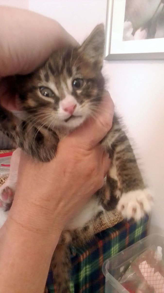 На самом деле глаза вроде симметричные, это я просто ребёнка за голову схватила