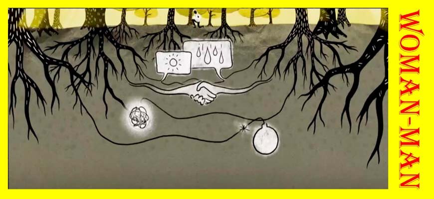 как и о чем разговаривают деревья между собой