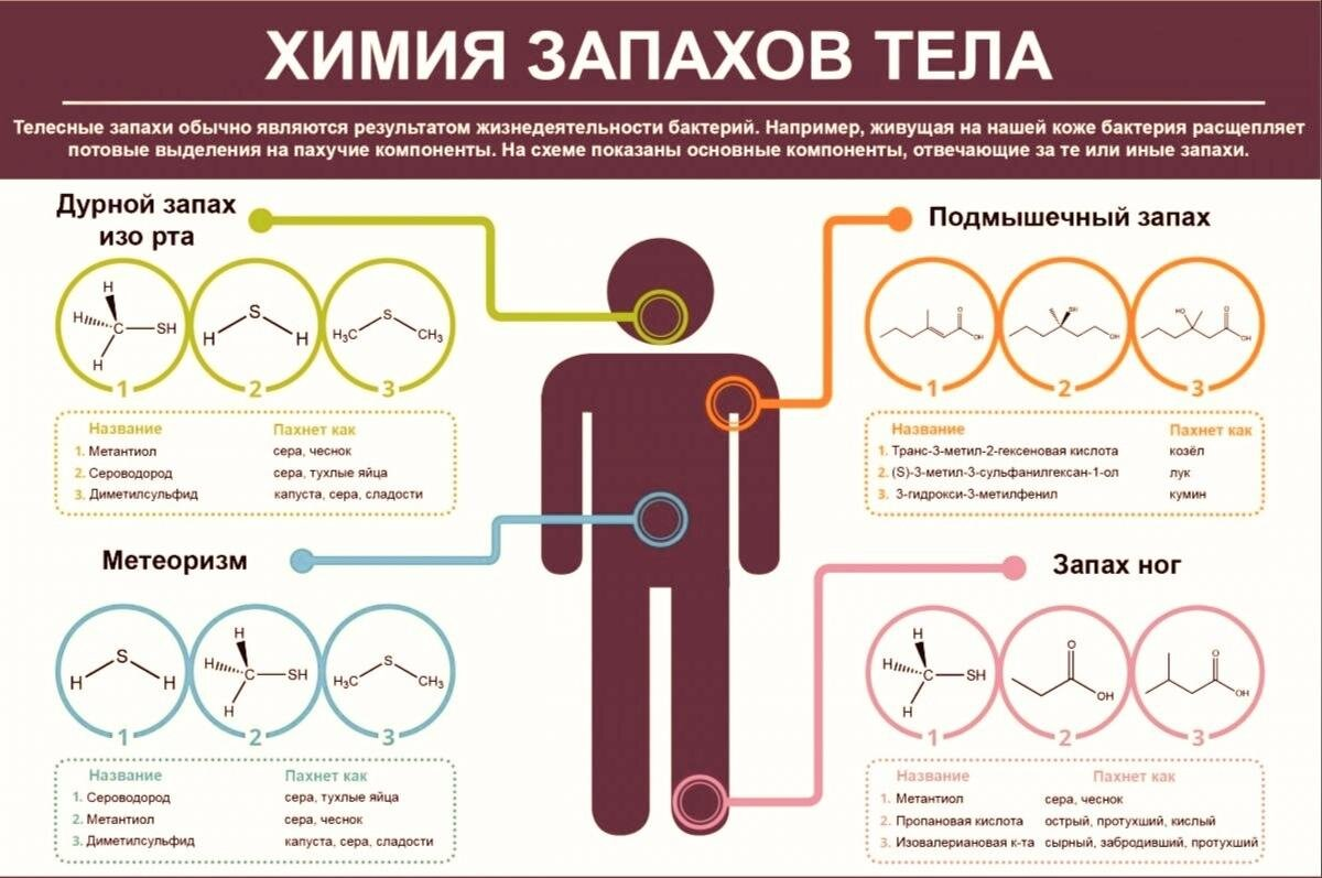 Лето, жара, запах пота – но он резкий и изменился: о каких болезнях это  говорит? | О здоровье: с медицинского на русский | Дзен