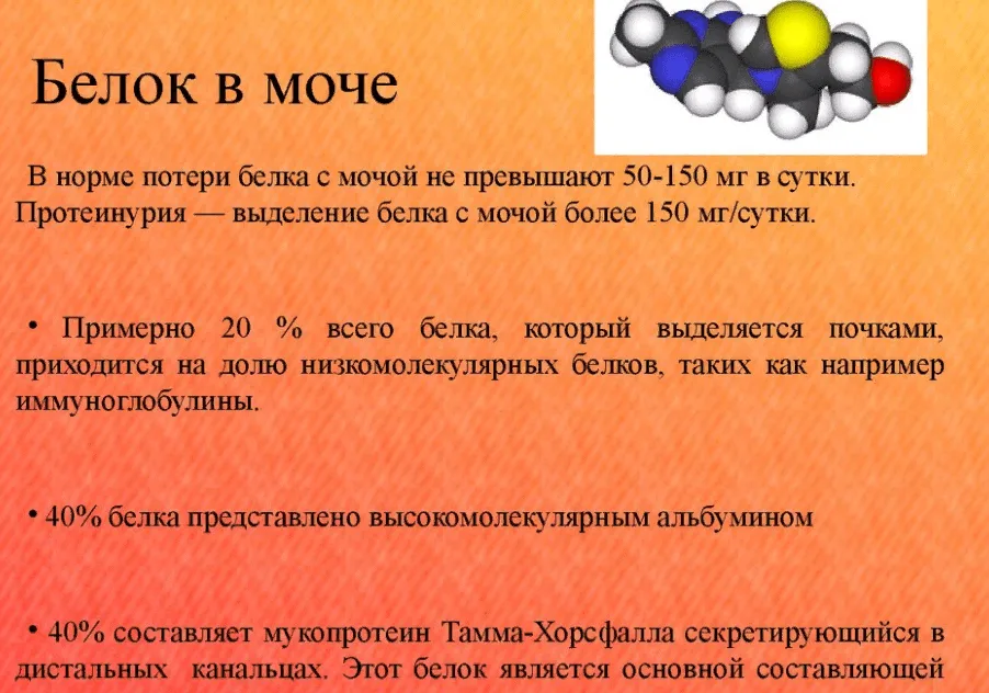 Лечение протеинурии (белка в моче) в Белой Церкви