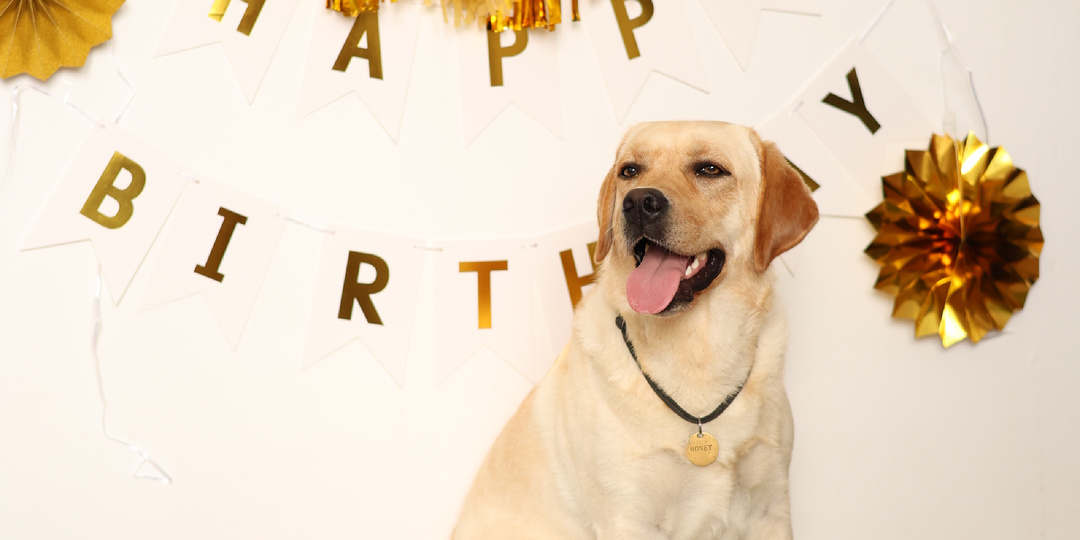 Хани 2 годика 🎂