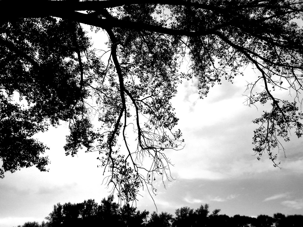 Фото моё, в чб фильтрах 