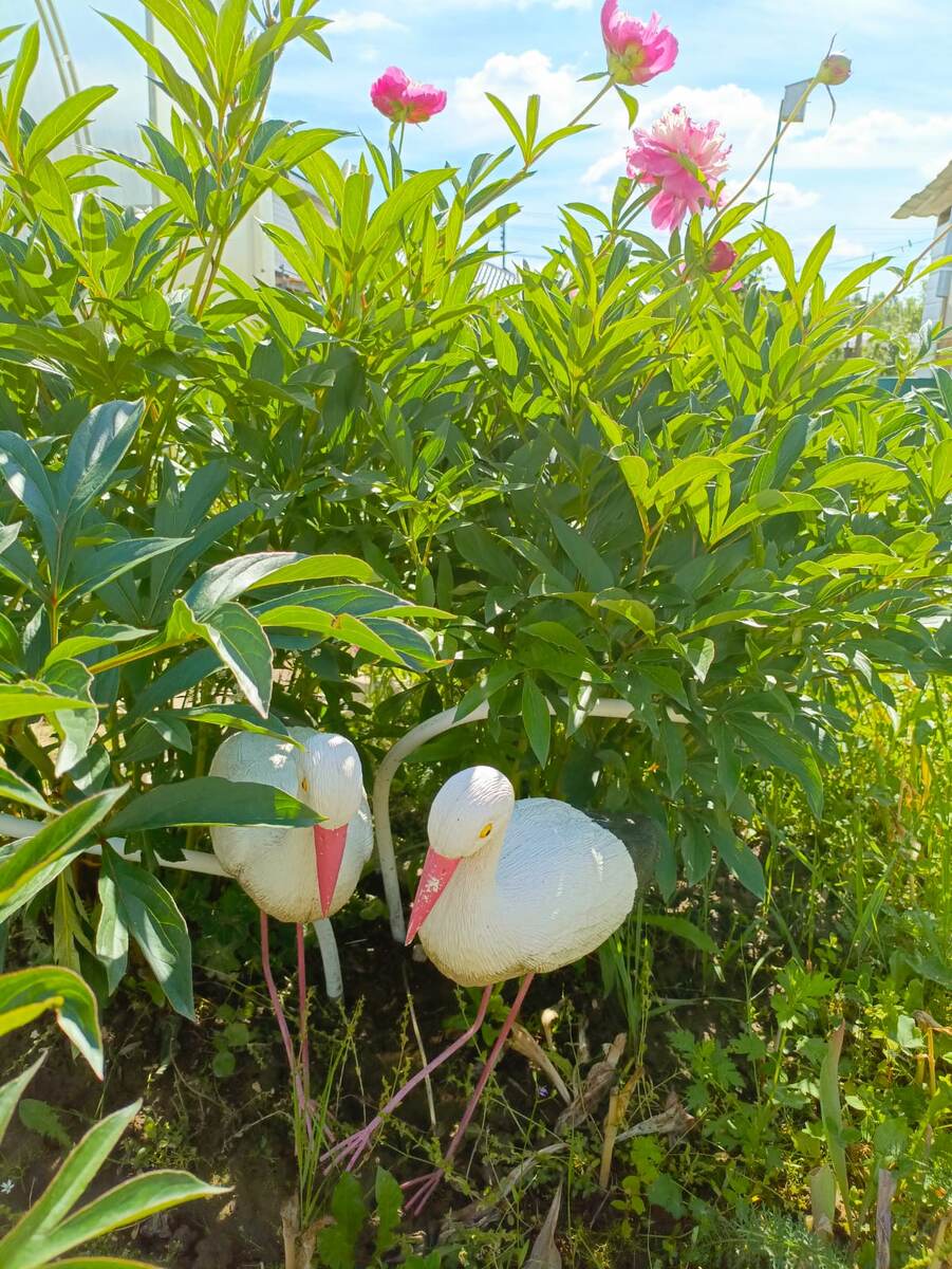 Фото автора