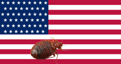 Клопы в США