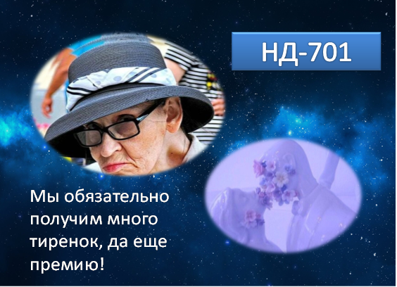 Коллаж автора