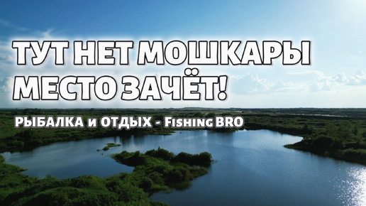 ТУТ НЕТ МОШКАРЫ - РЫБАЛКА и ОТДЫХ - ЗАЧЁТ 🎣