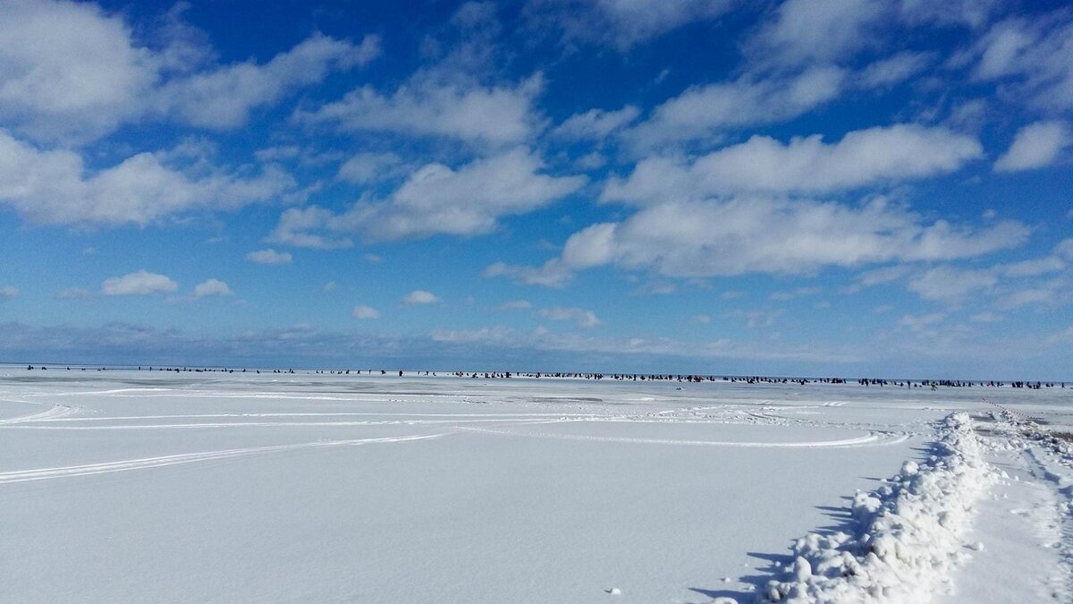 Фото из Интернет. Толпы рыболовов и линия совсем невысоких торосов. 