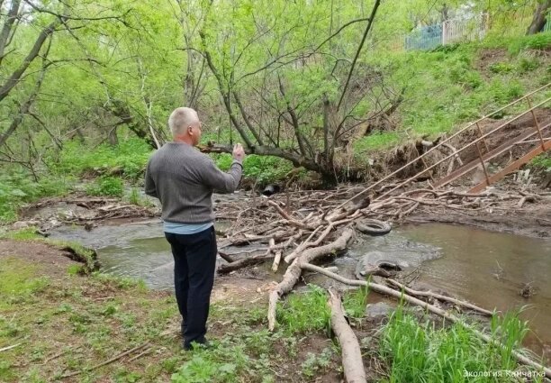    Фото: Экология Камчатки