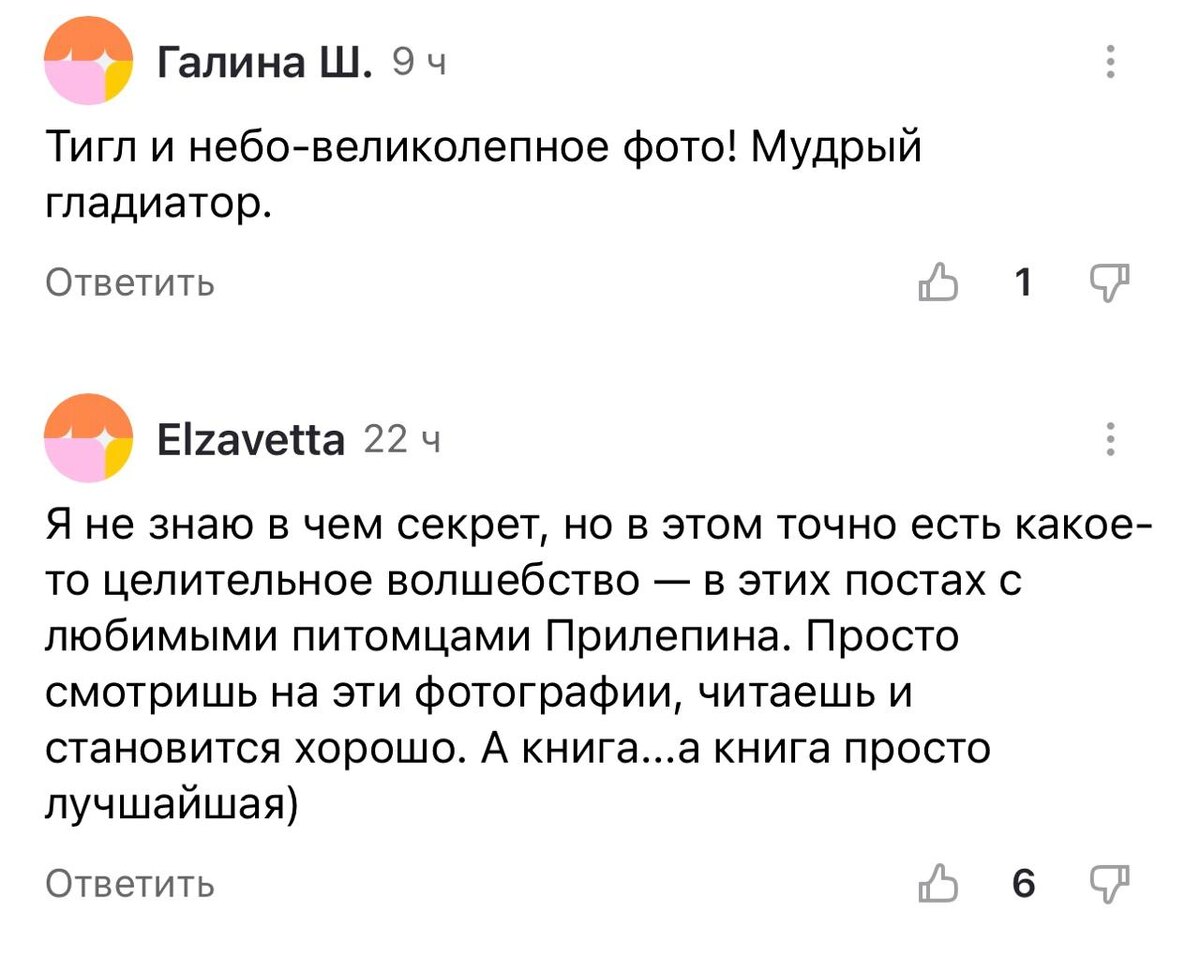 ПОНЕДЕЛЬНИК ДЕНЬ ЗВЕРЯТЫЙ, КОСМАТЫЙ, КУДЛАТЫЙ | Захар Прилепин | Дзен