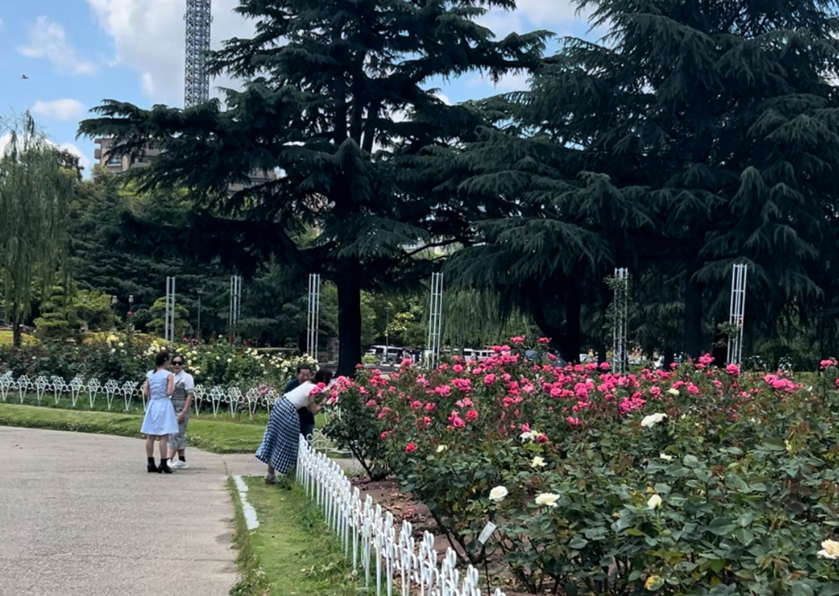 В это время любовалась японками в сапогах. Вернее, китаянками, ибо разговаривали они на китайском.