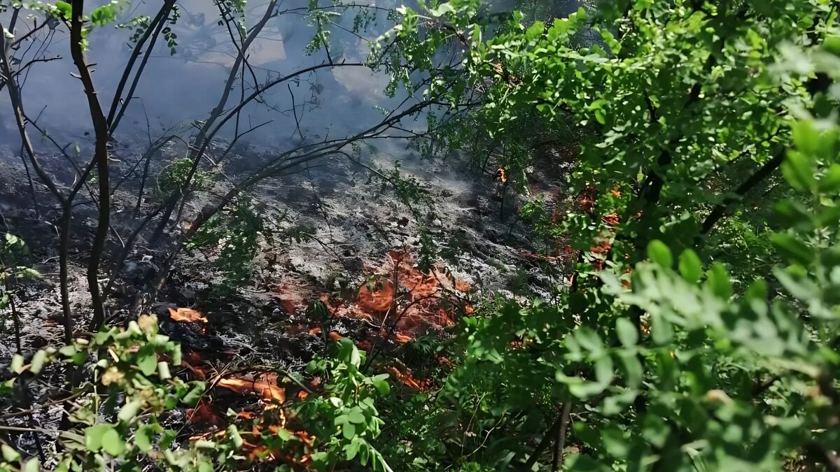     Источник: t.me/lpckrsk