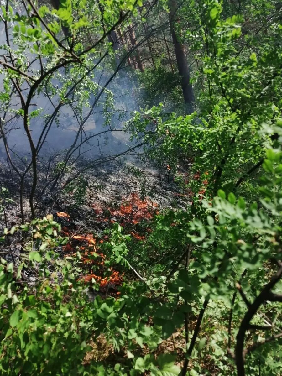     Источник: t.me/lpckrsk