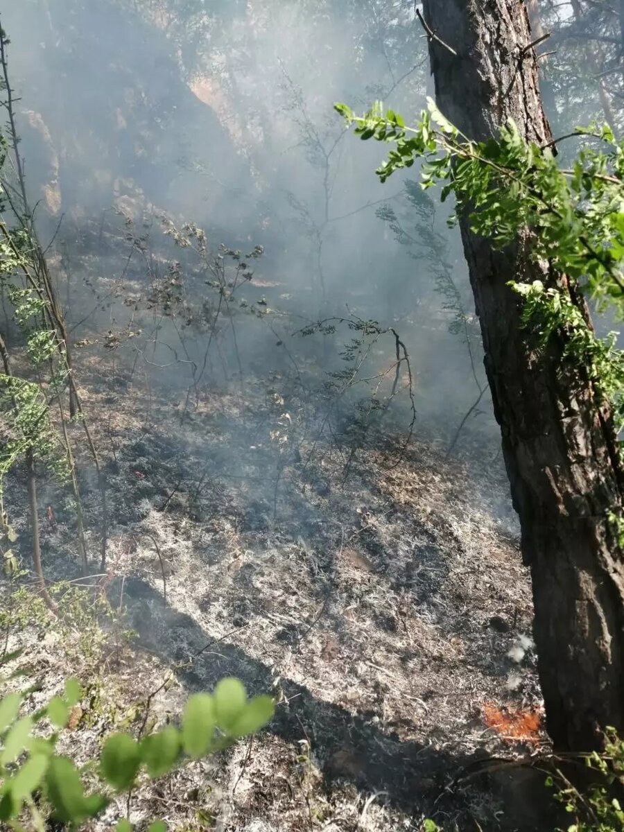     Источник: t.me/lpckrsk