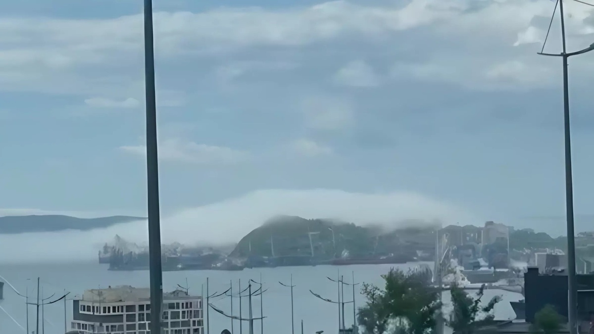     Источник: vostokmedia.com