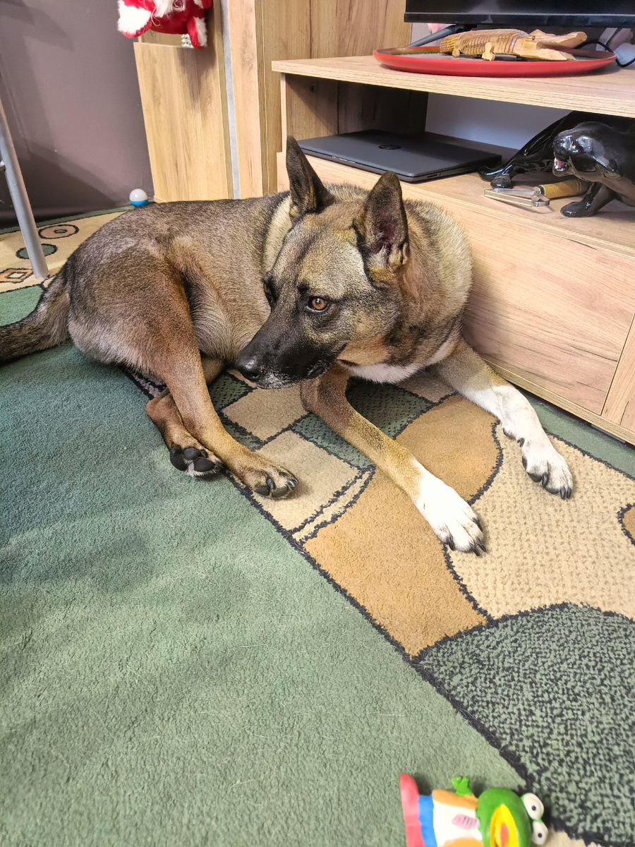 Пятнышко, которое выводит коврики.