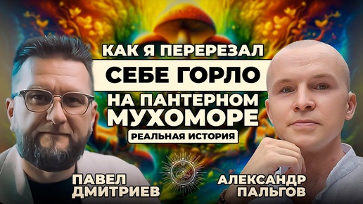 Как не убить себя на ретрите? Грибные ретриты - Александр Пальгов (Подкаст) & Павел Дмитриев.