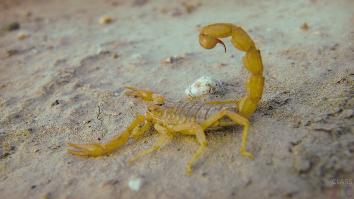 ����� ������� ��� �������� � ���������� ���������� ��� � ������ ��������