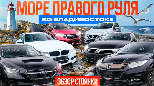 МОРЕ авто из Японии ВО ВЛАДИВОСТОКЕ❗️Авторынки БОЛЬШЕ НЕ НУЖНЫ❓