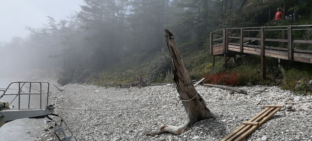 Берег на пути к лежбищу нерп