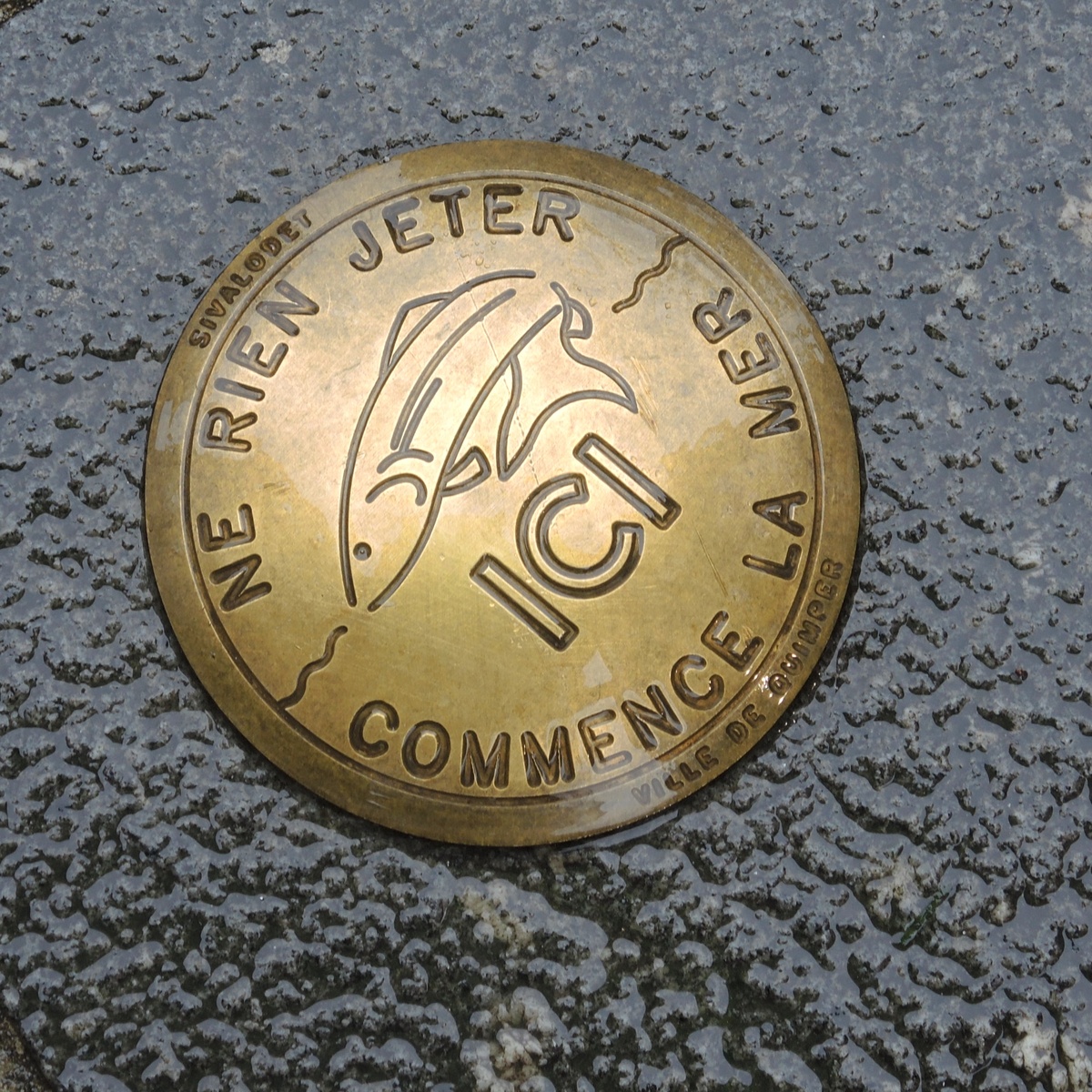 И словно эта рыбка - символ Кемпера, мы поплыли по лужам 😄