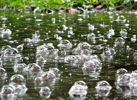 Иллюстрация из свободных источников.