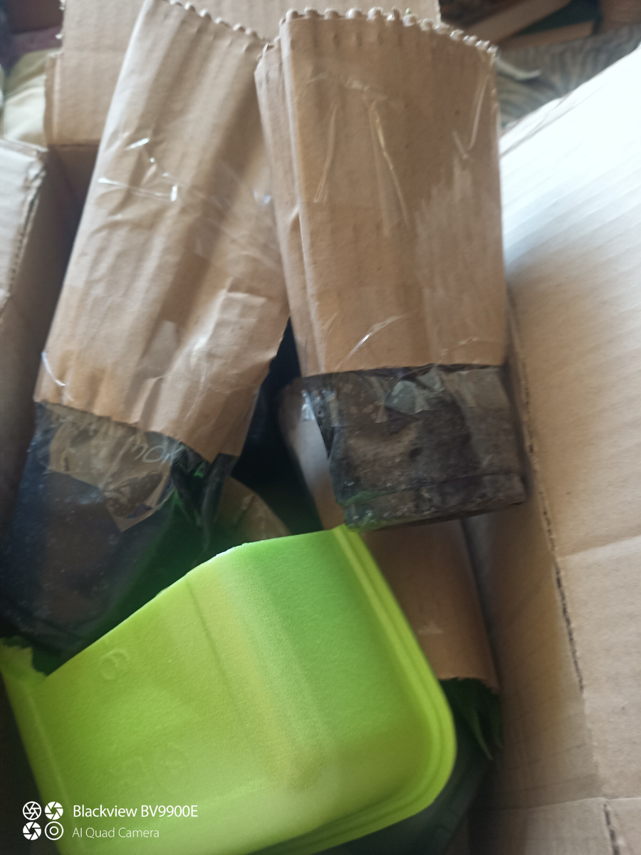 Уже раскопала всё 